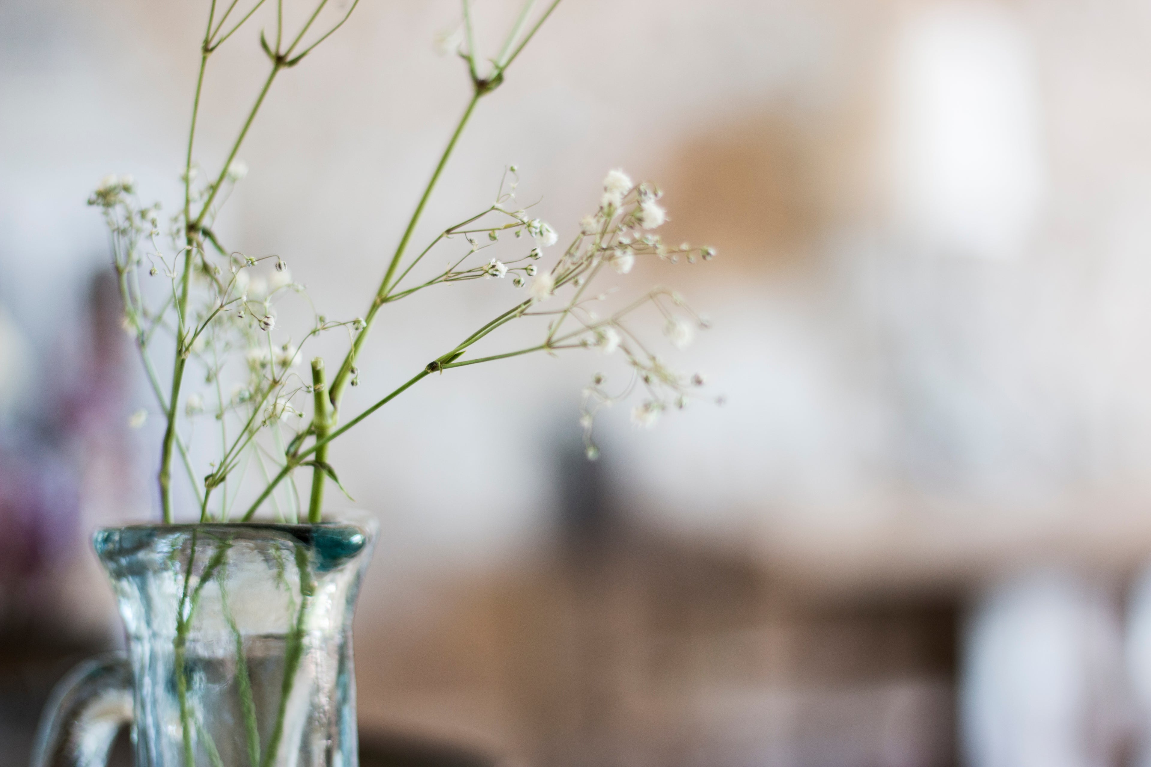 Sant Martì Vell - Girona